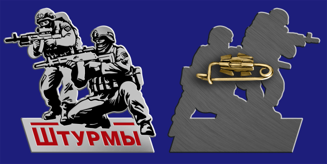 Значок "Штурмы" Значок "Штурмы"