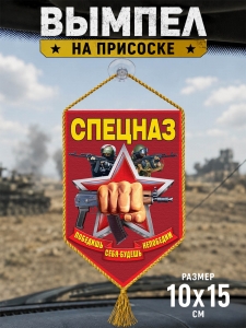 Автомобильный двусторонний вымпел "Спецназ"
