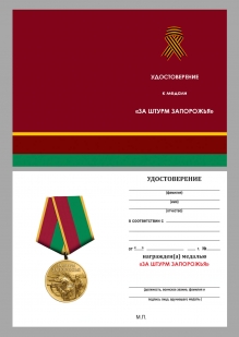 Медаль бойцу Запорожского фронта "За штурм Запорожья"