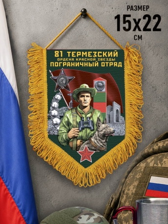 Вымпел "81 Термезский ПогО"