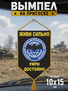 Автомобильный вымпел Отдельный разведывательный полк спецназа