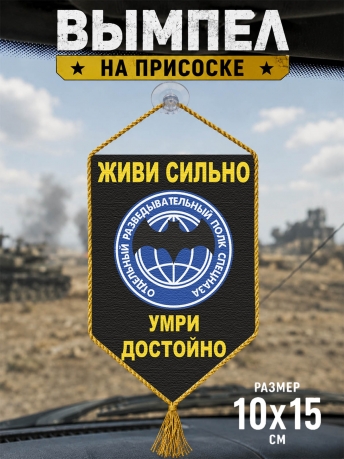 Автомобильный вымпел Отдельный разведывательный полк спецназа