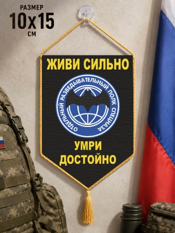Автомобильный вымпел Отдельный разведывательный полк спецназа
