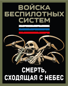 Новинка. Шеврон Войска беспилотных систем "Смерть, сходящая с небес" (10х8см)