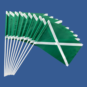 Комплект флажков Таможни "ФТС России" на палочке (10шт)