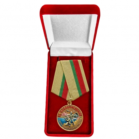 Медаль "За освобождение Запорожской области" СВО в бархатистом футляре