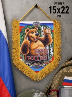Вымпел патриота Живу в России!