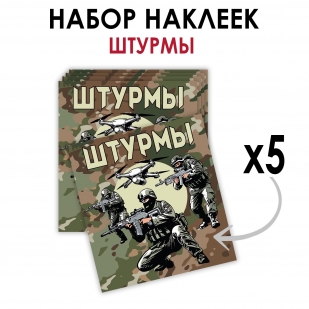 Набор камуфляжных наклеек "Штурмы" (8.7х8 см)
