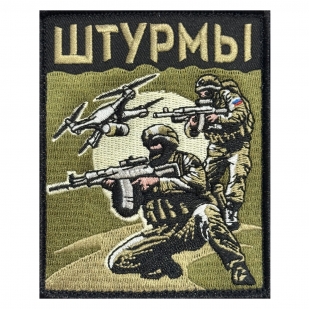 Шеврон "Штурмы" (10х8см)