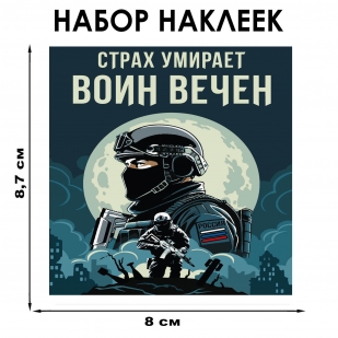 Набор наклеек "Страх умирает – Воин вечен" (8.7х8 см)