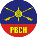 Наклейка «РВСН»