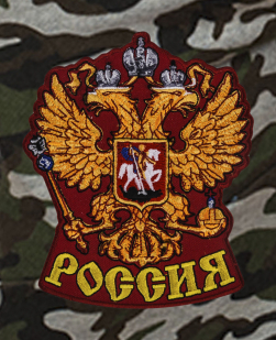 Армейские шорты удлиненного фасона с нашивкой Россия