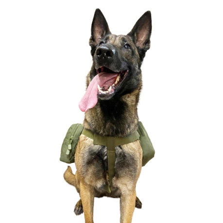 Армейский жилет-аптечка для собаки (олива)