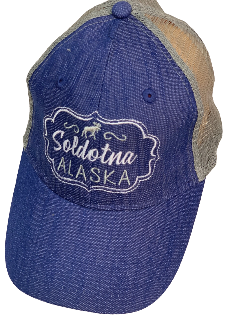 Бейсболка Alaska сине-фиолетового цвета с серой сеткой и белой вышивкой  №30144