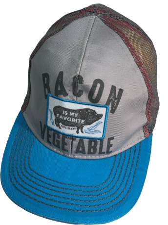 Бейсболка с принтом BACON IS MY FAVORITE VEGETABLE