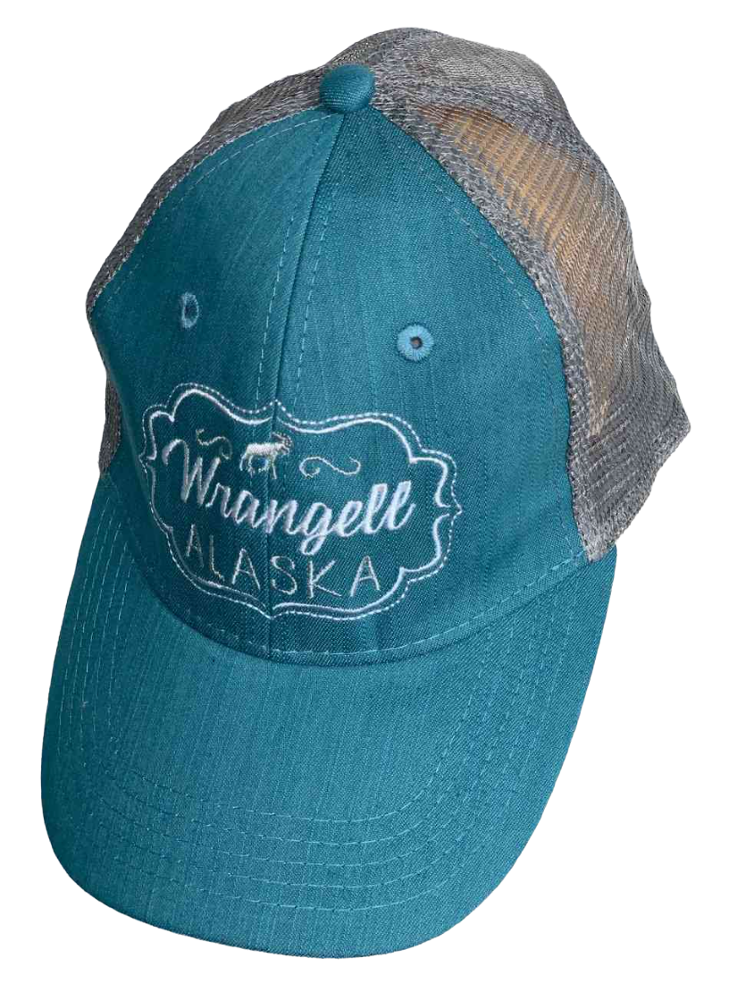 Бирюзовая бейсболка Wrangell Alaska №6427