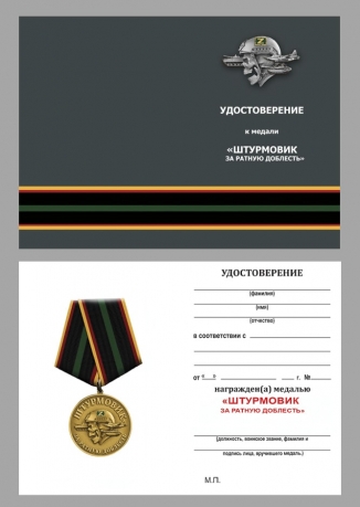 Медаль штурмовика "За ратную доблесть" в футляре из флока