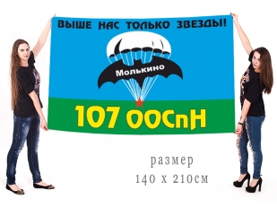 Большой флаг 107 ООСпН ГРУ