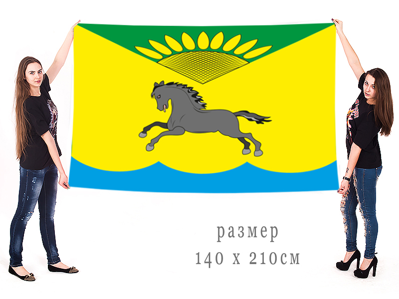 Большой флаг Карасукского муниципального района