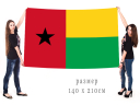 Большой флаг Республики Гвинея-Бисау