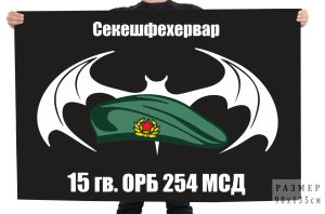 Флаг 15 отдельного разведывательного батальона 254 МСД