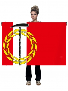 Флаг Копейска