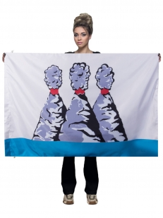Флаг Петропавловска-Камчатского | Флаги на заказ