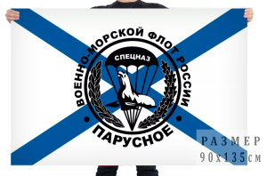 Флаг спецназа Военно-морского флота Российской Федерации 