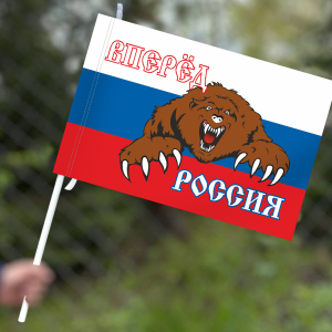 Флаг «Россия вперёд»