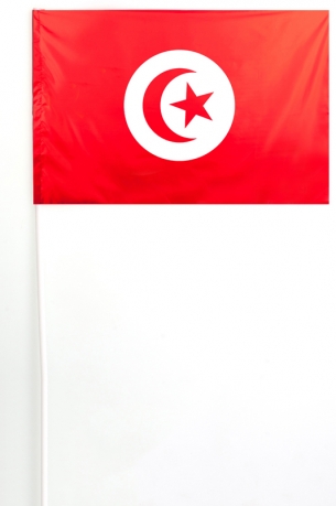 Флажок Туниса на палочке