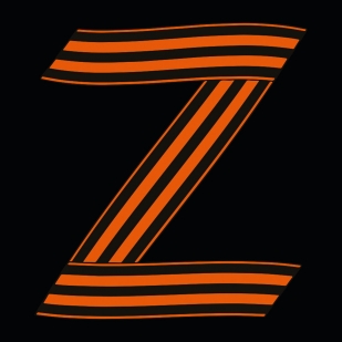 Черная футболка с буквой Z