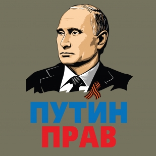 Футболка хаки-олива "Путин прав"