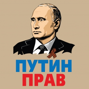 Футболка хаки-песок с принтом "Путин прав"