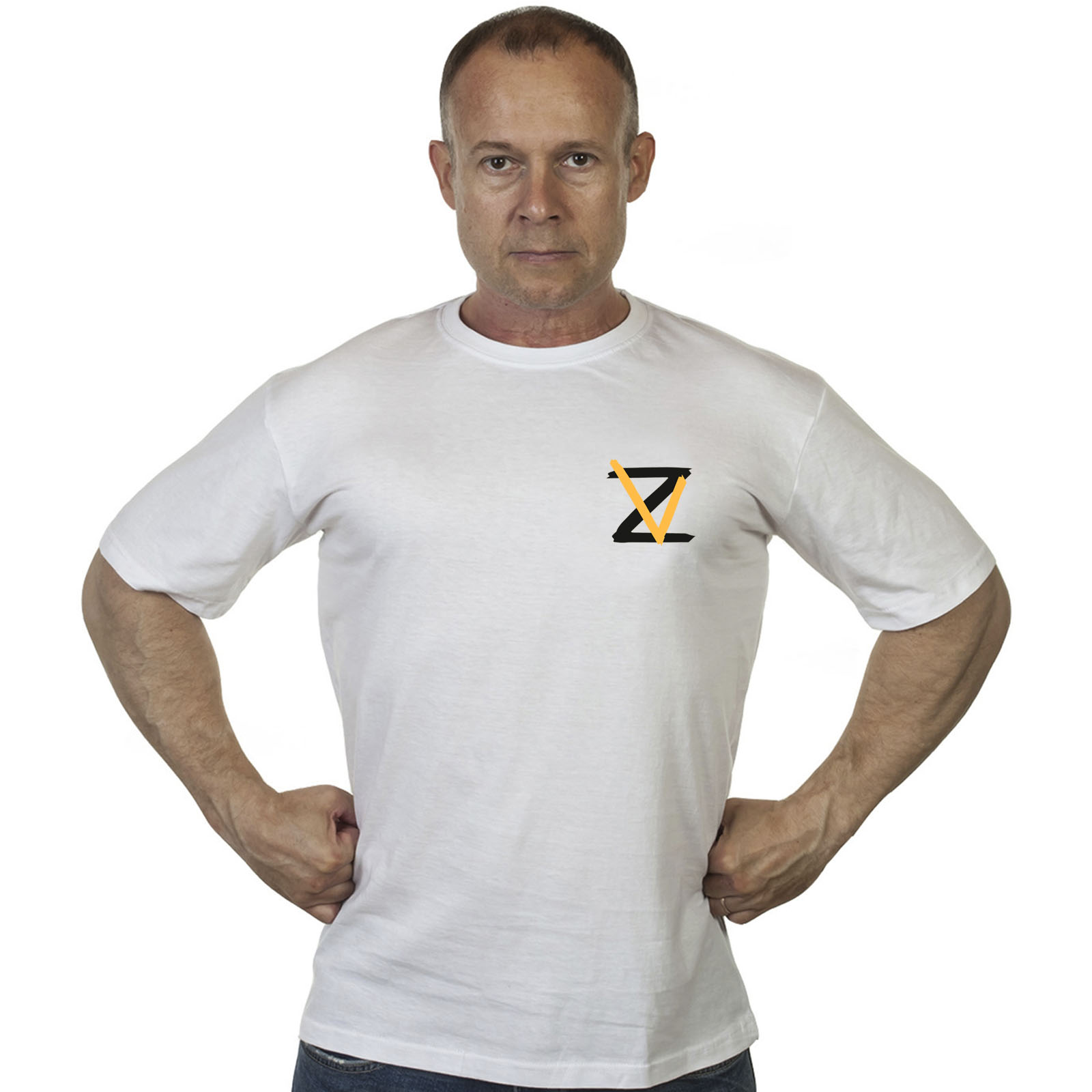 Купить в интернет магазине недорогую мужскую футболку с символикой Z V