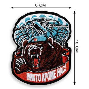 Десантная мужская футболка Медведь ВДВ-шник