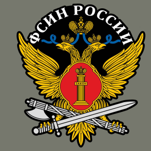 Хлопковая футболка хаки "ФСИН России" с термотрансфером