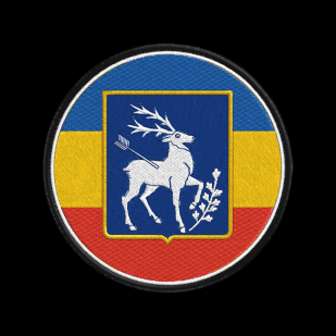 Казачья толстовка с шевроном ЕЛЕНЬ – древним гербом Донских казаков.