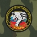 Камуфляжная кепка с шевроном «Калачевская оперативная бригада Кобра».