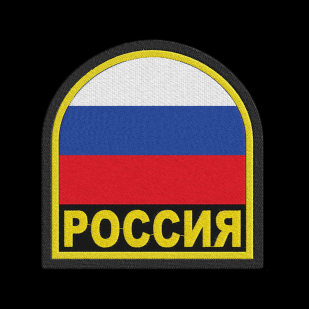 Патриотическая кофта-толстовка с шевроном-флагом России.