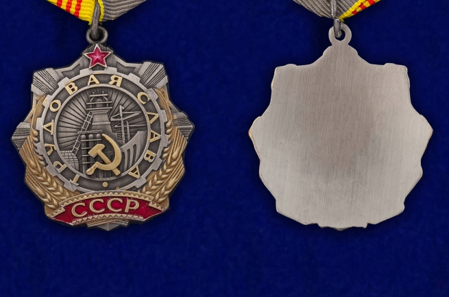 Орден Трудовой Славы 3 степени - аверс и реверс