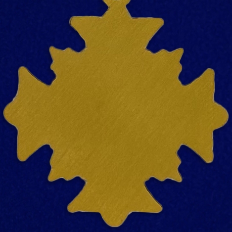 Нагрудный крест летных заслуг (США) - реверс