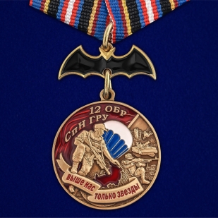 Латунная медаль 12 ОБрСпН ГРУ - общий вид