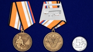 Латунная медаль Z V За участие в спецоперации по денацификации и демилитаризации Украины - сравнительный вид