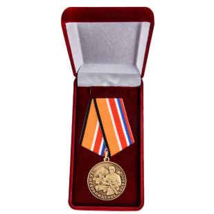 Латунная медаль Z За освобождение Донбасса