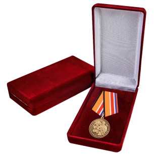 Латунная медаль Z За освобождение Донбасса