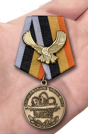 Латунная медаль За службу Отечеству Специальные части ВМФ - вид на ладони