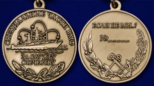 Латунная медаль За службу Отечеству Специальные части ВМФ - аверс и реверс