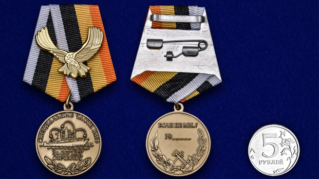 Латунная медаль За службу Отечеству Специальные части ВМФ - сравнительный вид