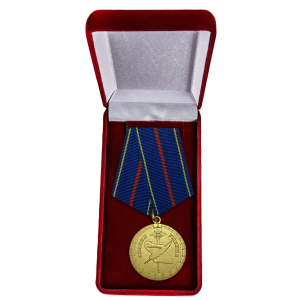 Латунная медаль "За заслуги в управленческой деятельности" МВД РФ 1 степени