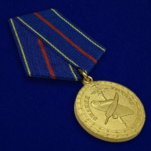 Латунная медаль За заслуги в управленческой деятельности МВД РФ 1 степени - общий вид